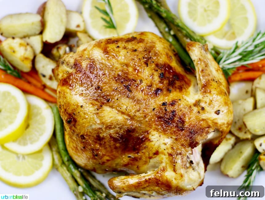 Classic Lemon Herb Roasted Chicken and Veggies 4 Close up of a Whole Lemon Herb Roasted Chicken