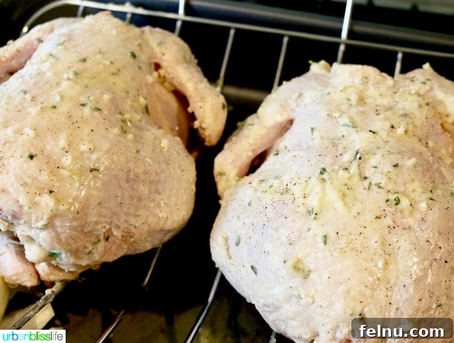 Classic Lemon Herb Roasted Chicken and Veggies 6 Two uncooked chickens coated in Herb Butter ready to roast