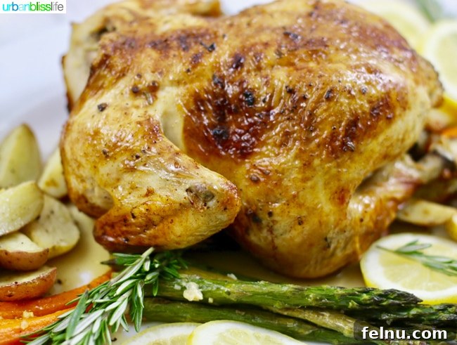 Classic Lemon Herb Roasted Chicken and Veggies 8 A close up of a golden brown Lemon Herb Roasted Chicken