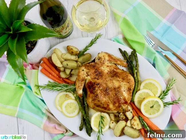 Classic Lemon Herb Roasted Chicken and Veggies 9 A colorful platter featuring Lemon Herb Roasted Chicken with Roasted Vegetables