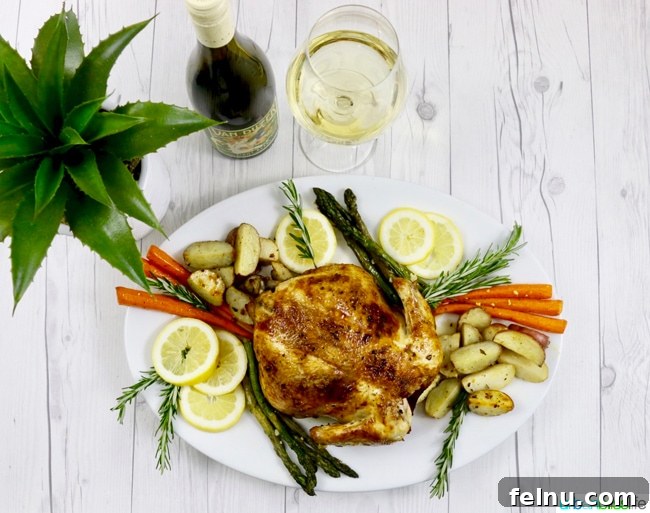 Classic Lemon Herb Roasted Chicken and Veggies 10 The finished Lemon Herb Roasted Chicken dish