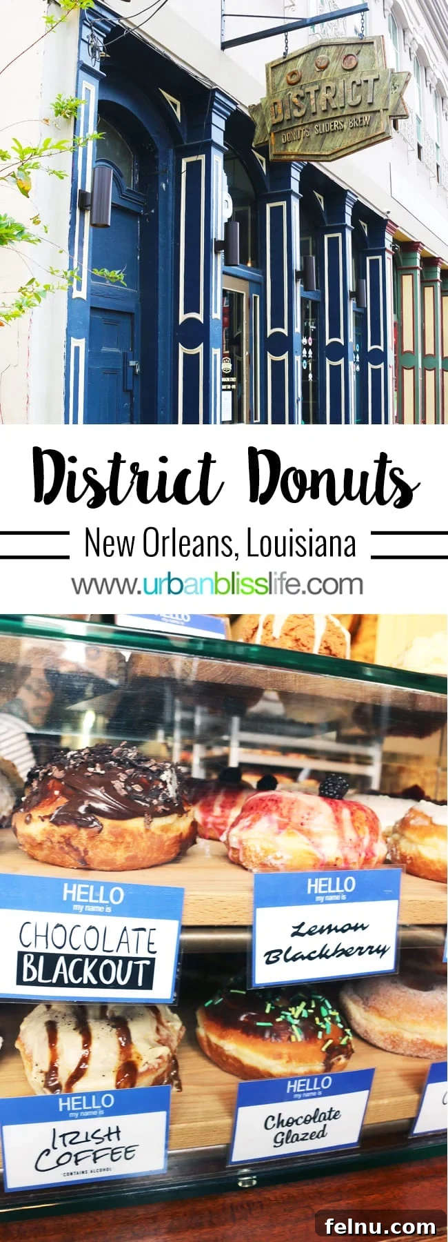 Food and Travel Bliss: NOLA Donut Delights 2 District Donuts New Orleans: A Must-Try Culinary Experience