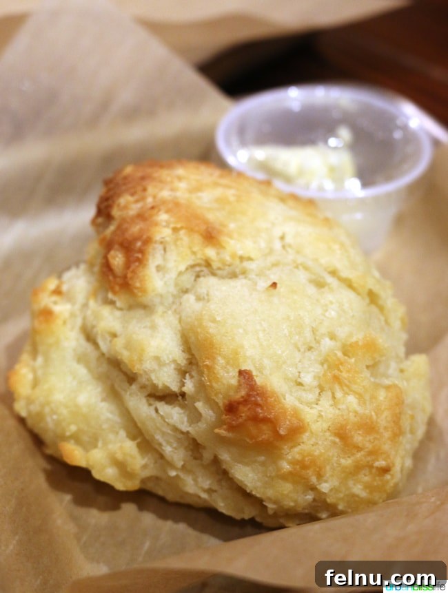 Food and Travel Bliss: NOLA Donut Delights 8 Beyond Donuts: Cinnamon Rolls and Biscuits at District Donuts