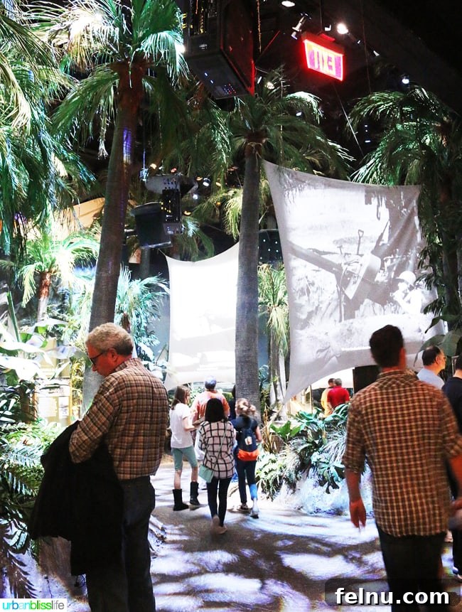 The National WWII Museum: A Journey Through History 13 Jungle Warfare Exhibit in Campaigns of Courage