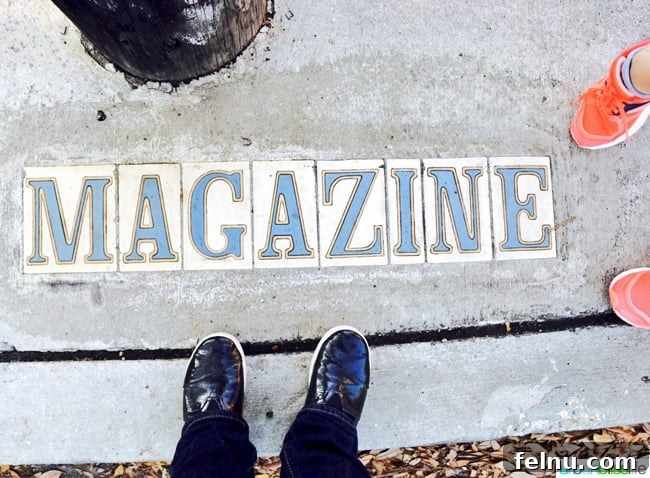 Magazine Street Essentials: Your New Orleans Exploration Guide 2 Magazine Street New Orleans
