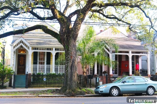 Magazine Street Essentials: Your New Orleans Exploration Guide 8 New Orleans garden district