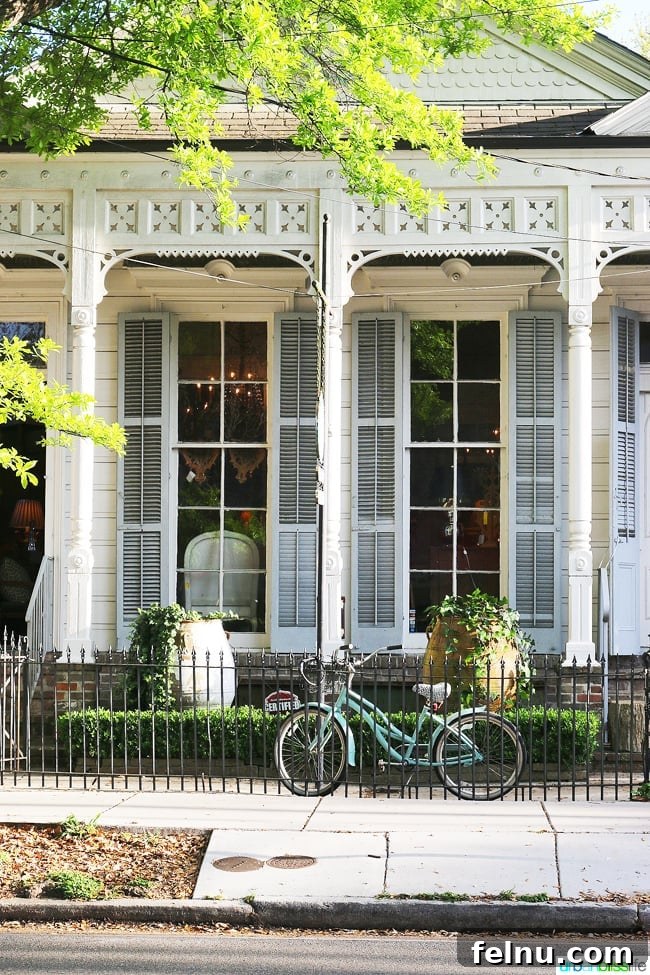 Magazine Street Essentials: Your New Orleans Exploration Guide 9 house in New Orleans garden district