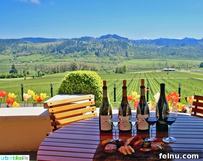 Sip Savor Explore Oregon Wine Month 13 King-Estate-Winery-Tasting-Charcuterie-Views