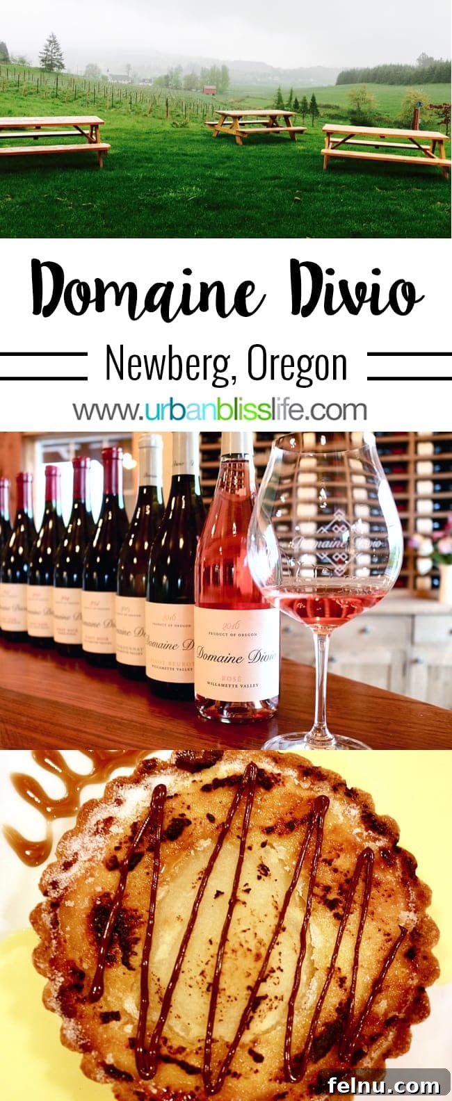 Divio Estate: A Taste of Burgundy in the Willamette Valley 2 Domaine Divio Oregon winery in Oregon's Willamete Valley