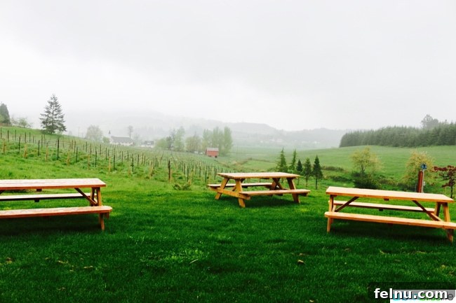 Divio Estate: A Taste of Burgundy in the Willamette Valley 6 Domaine Divio outdoor seating area