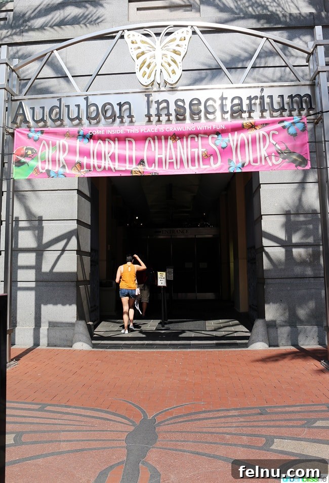 Family Discoveries at Audubon New Orleans 14 Entrance of the Audubon Butterfly Garden and Insectarium in New Orleans