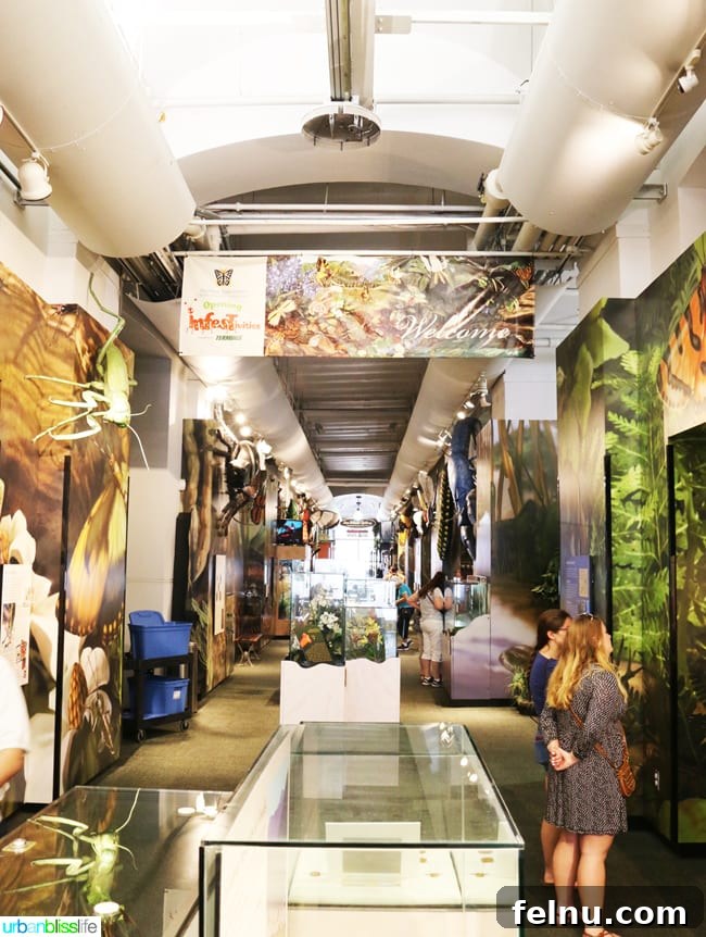 Family Discoveries at Audubon New Orleans 15 Interior view of the Audubon Butterfly Garden and Insectarium showcasing exhibits