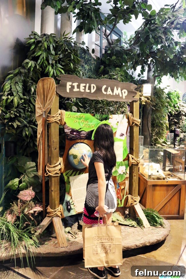 Family Discoveries at Audubon New Orleans 17 Children engaging with an interactive 'Field Camp' exhibit at the Insectarium