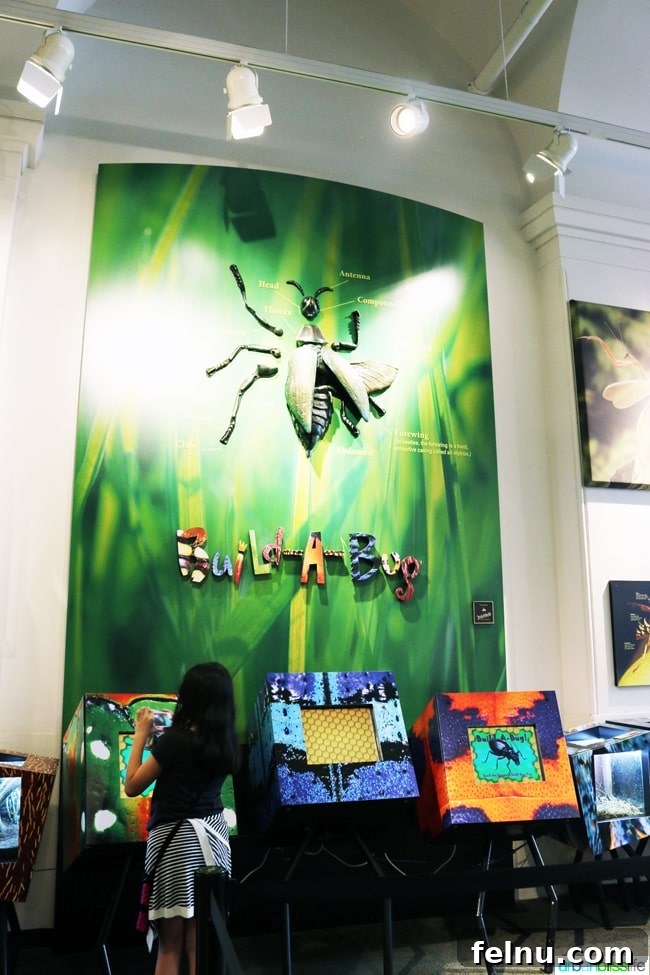 Family Discoveries at Audubon New Orleans 19 Child at the 'Build-a-Bug' station, creating a virtual insect