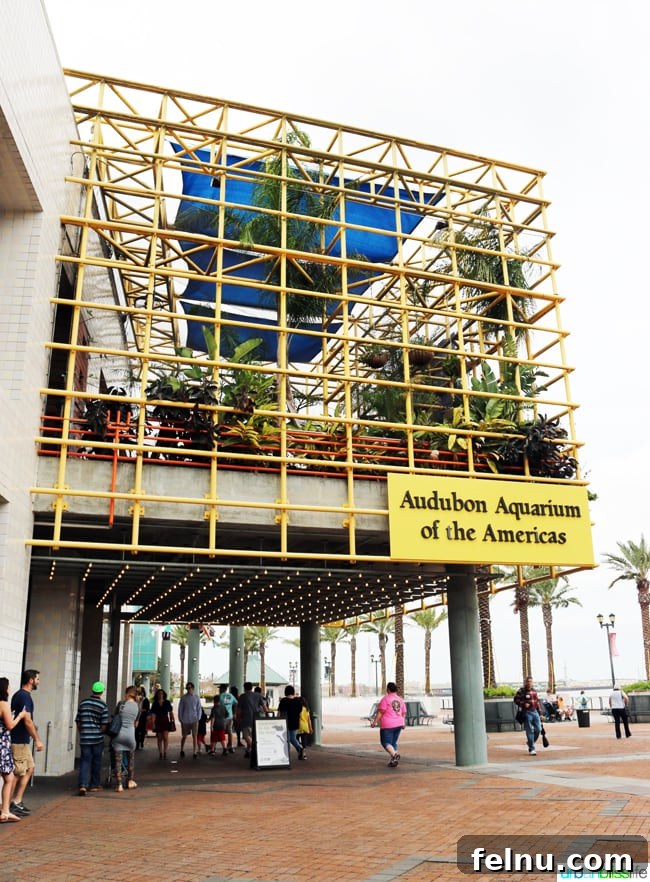 Family Discoveries at Audubon New Orleans 3 Exterior view of the Audubon Aquarium of the Americas in New Orleans