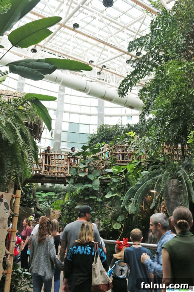 Family Discoveries at Audubon New Orleans 4 Crowd of visitors inside the bustling Audubon Aquarium of the Americas