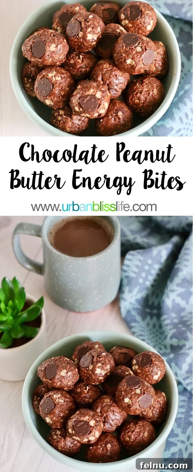 Peanut Butter Chocolate Power Bites 2 Delicious Chocolate Peanut Butter Energy Balls on a plate, ready to be enjoyed.