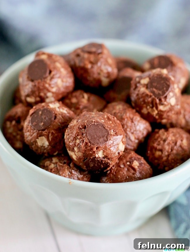 Peanut Butter Chocolate Power Bites 6 A few Chocolate Peanut Butter Energy Bites arranged artfully.