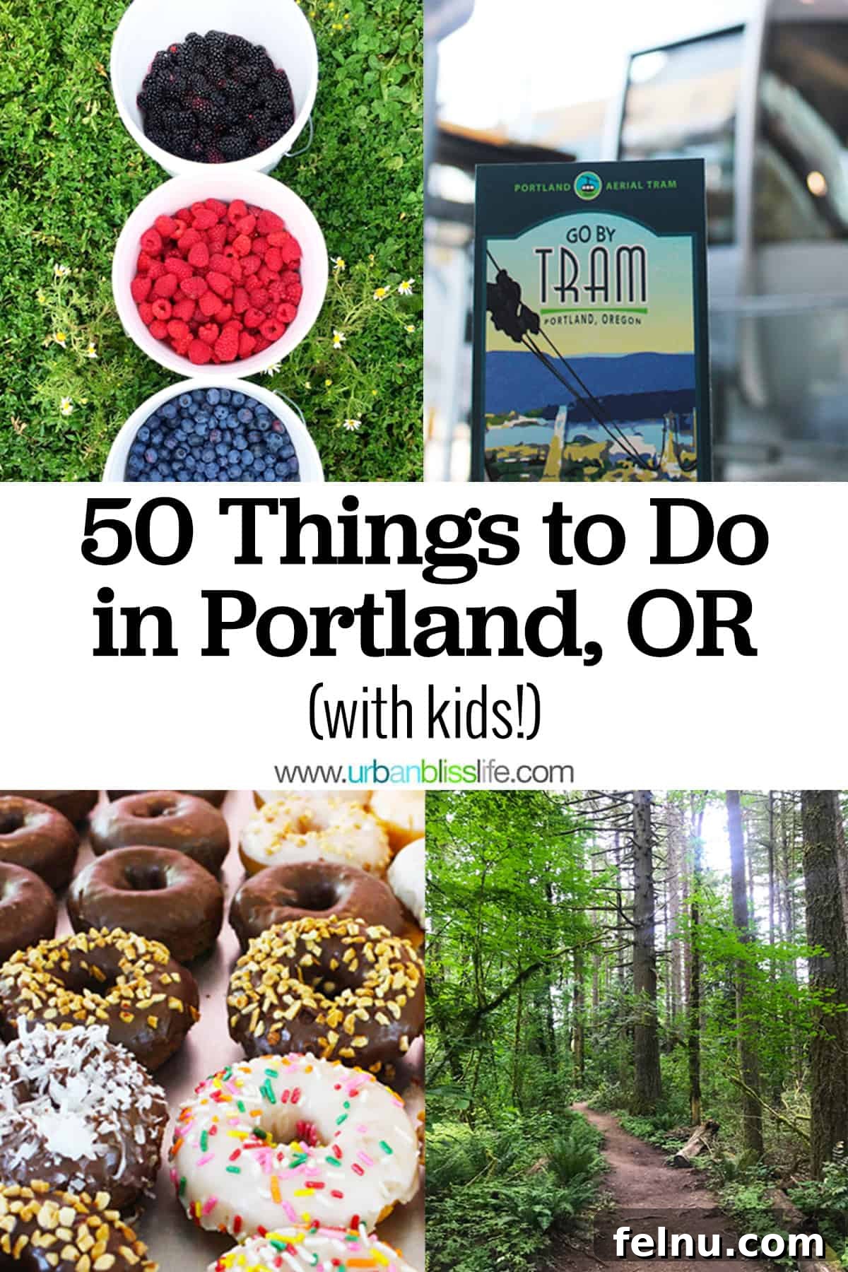50 Unforgettable Kid-Friendly Adventures in Portland 2 A collage of vibrant summer berries, the iconic Portland Aerial Tram, delicious donuts, and a scenic hiking trail, overlaid with the title text that reads "50 Things to do in Portland, OR with Kids."