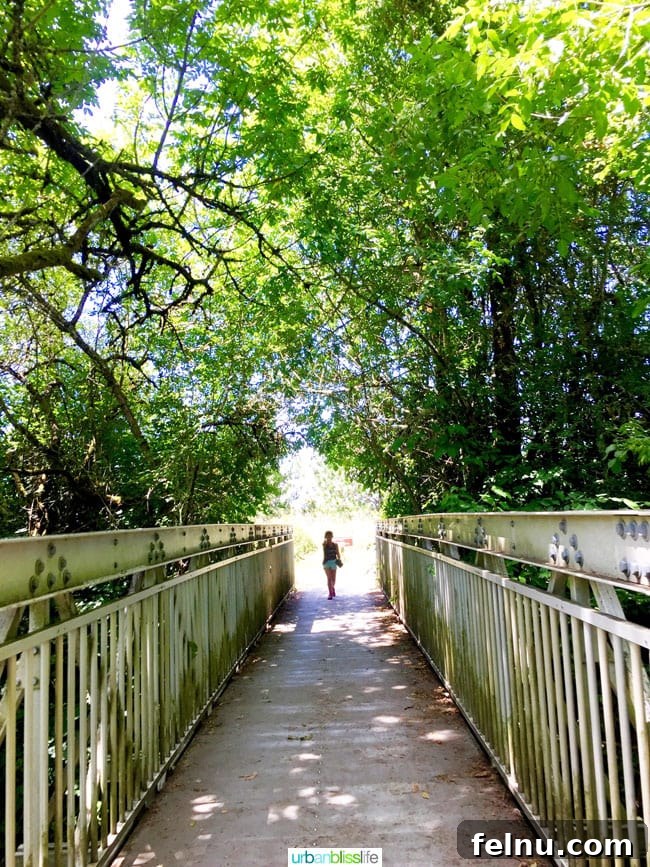 50 Unforgettable Kid-Friendly Adventures in Portland 12 A scenic bridge stretches across wetlands at the Tualatin River National Wildlife Refuge, inviting visitors to explore nature on UrbanBlissLife.com.