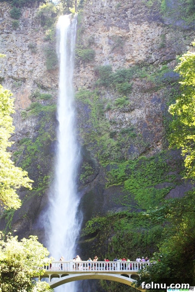 50 Unforgettable Kid-Friendly Adventures in Portland 13 50 Things to Do in Portland With Kids During the Summer - Multnomah Falls, travel tips on UrbanBlissLife.com.