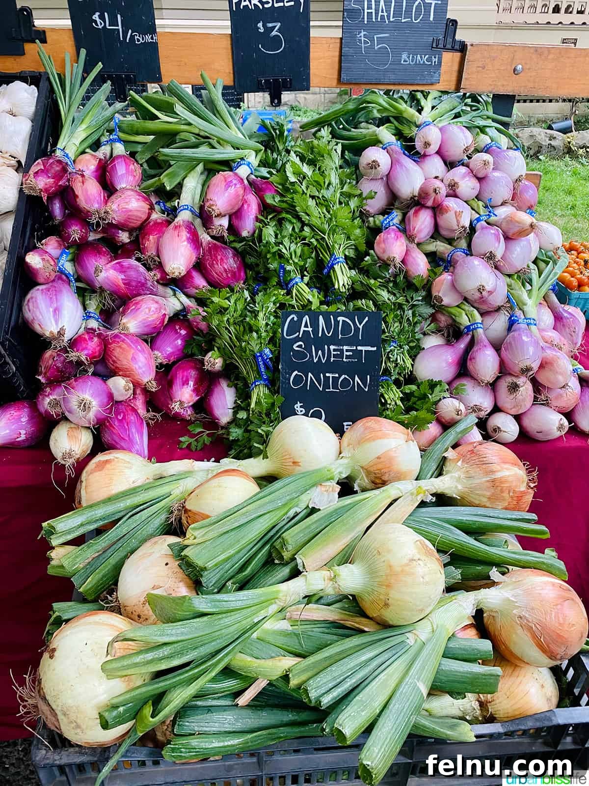 50 Unforgettable Kid-Friendly Adventures in Portland 15 A vibrant Portland Farmers Market stand displays a colorful variety of fresh onions, showcasing local produce.