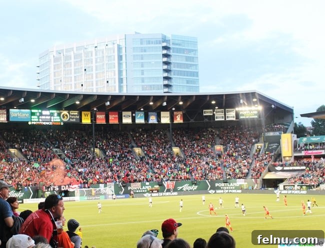 50 Unforgettable Kid-Friendly Adventures in Portland 17 Providence Park in Portland, packed with fans, celebrates a game.