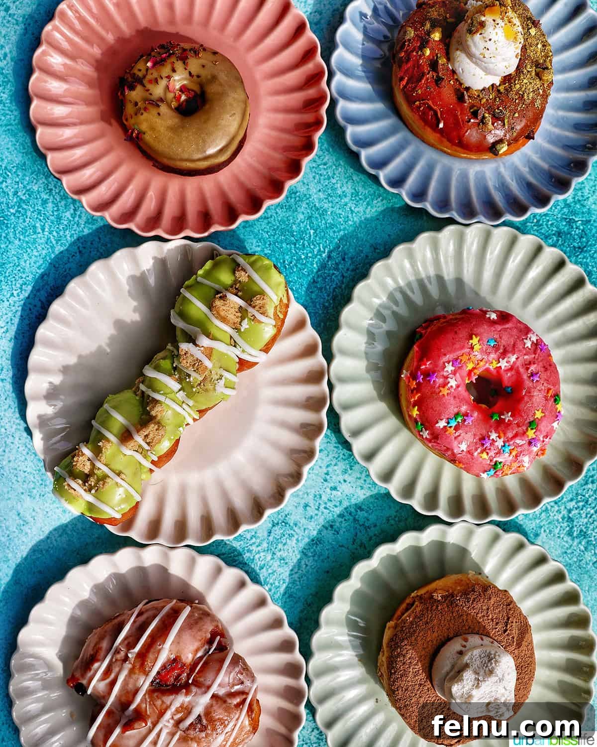 50 Unforgettable Kid-Friendly Adventures in Portland 21 A box of six colorful and varied vegan donuts from Doe Donuts in Portland, Oregon, showcasing a delightful array of flavors.