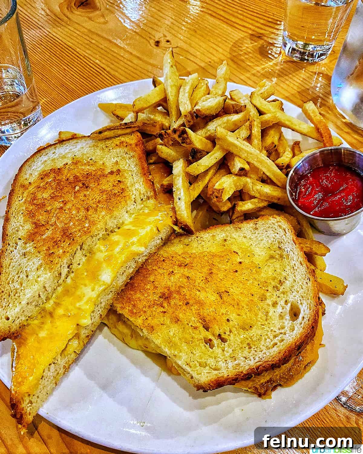 50 Unforgettable Kid-Friendly Adventures in Portland 22 A perfectly grilled cheese sandwich, sliced in half, served with a generous side of golden fries and a dollop of ketchup on a white plate atop a rustic wood table, illustrating a family-friendly meal.