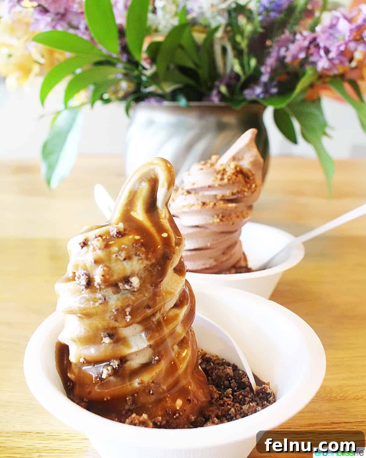 50 Unforgettable Kid-Friendly Adventures in Portland 23 Two enticing bowls of vegan frozen yogurt are beautifully presented at Eb and Bean in Portland, Oregon, inviting a cool and delicious treat.