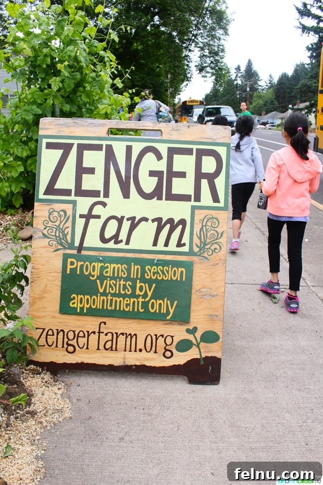 50 Unforgettable Kid-Friendly Adventures in Portland 27 50 Things to Do in Portland With Kids: Zenger Farm is pictured.