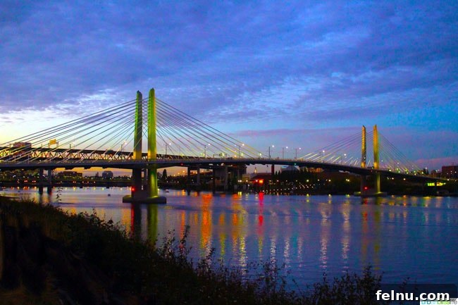 50 Unforgettable Kid-Friendly Adventures in Portland 5 A stunning night view of Tilikum Crossing bridge, illuminated, with the city lights of Portland reflecting on the Willamette River, captured by Marlynn Jayme Schotland on UrbanBlissLife.com.
