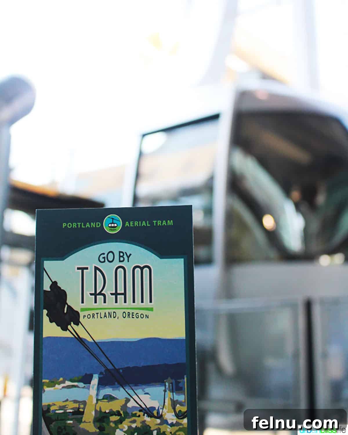 50 Unforgettable Kid-Friendly Adventures in Portland 6 Portland's distinctive aerial tram cable car glides high above the city, offering panoramic views of downtown Portland, Oregon.