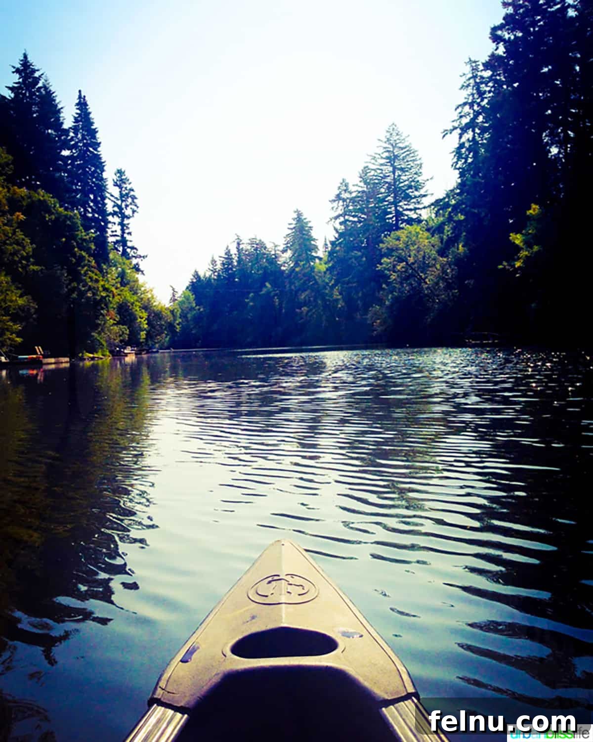 50 Unforgettable Kid-Friendly Adventures in Portland 8 A vibrant green kayak glides peacefully on the Tualatin River, surrounded by lush trees, inviting a serene outdoor adventure.