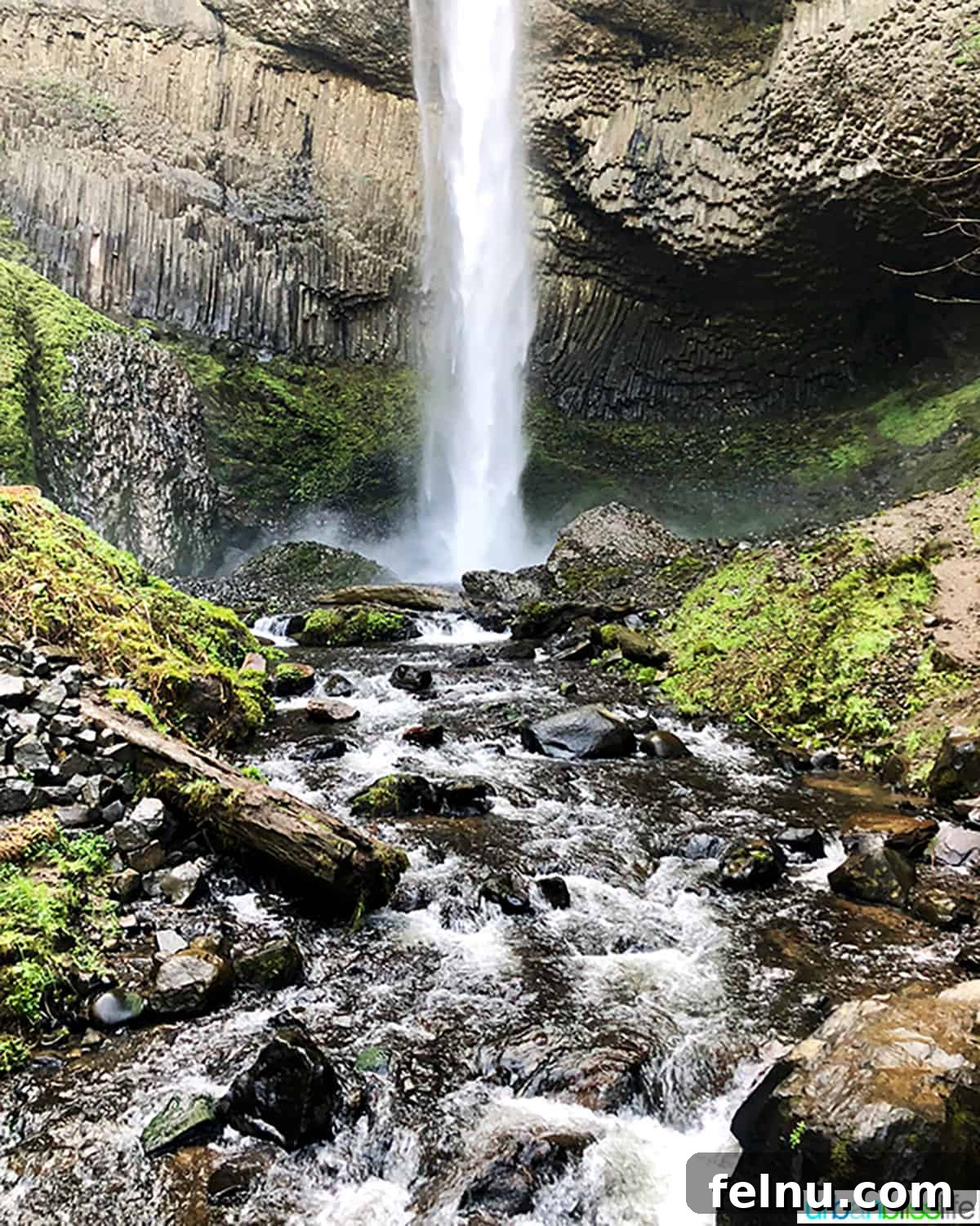 50 Unforgettable Kid-Friendly Adventures in Portland 10 Latourell Falls cascades gracefully over dark basalt columns into a pool of large stones, nestled within the lush Columbia River Gorge near Portland, Oregon.