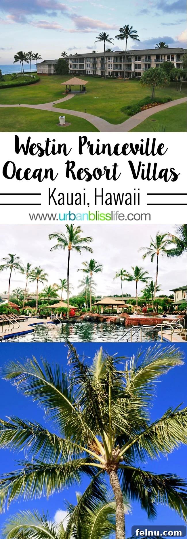 Where to Stay in Kauai: A Luxurious Escape at The Westin Princeville 2 Kauai Palm Trees and Ocean View
