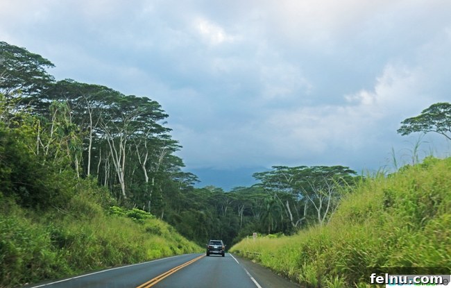 Where to Stay in Kauai: A Luxurious Escape at The Westin Princeville 3 Lush Green Road in Kauai, Hawaii