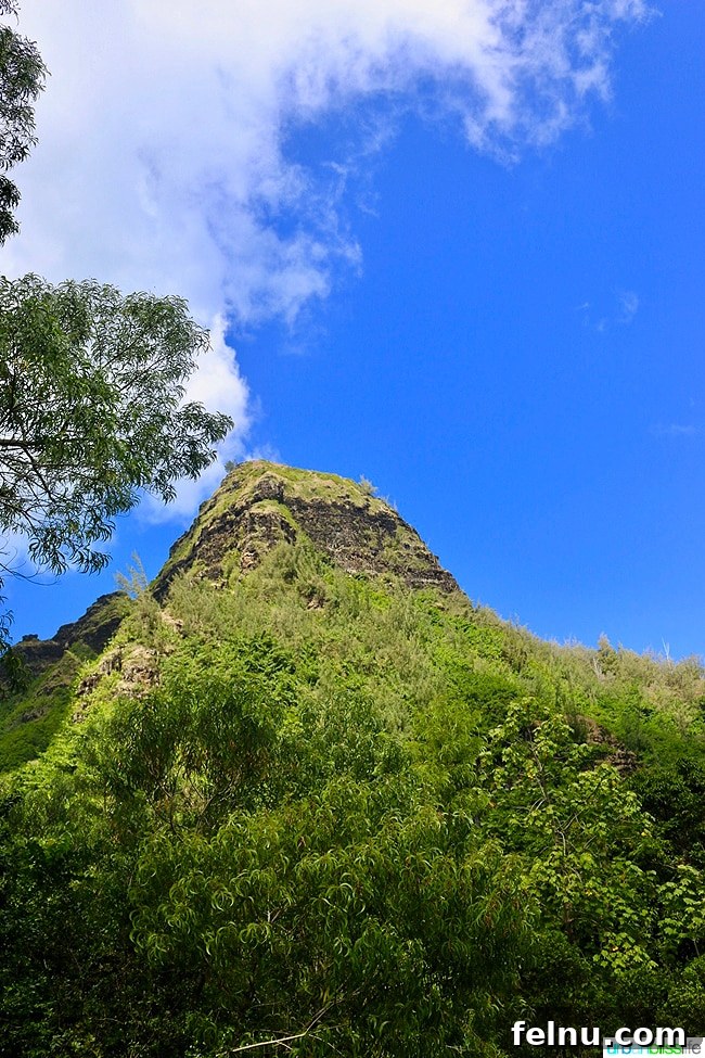 Kauai's Limahuli Garden & Preserve: A Nature Lover's Paradise 3 Scenic View of Limahuli Garden and Preserve with Mountain Backdrop