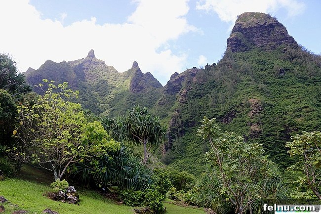 Kauai's Limahuli Garden & Preserve: A Nature Lover's Paradise 4 Green Mountain Scenery at Limahuli Garden and Preserve