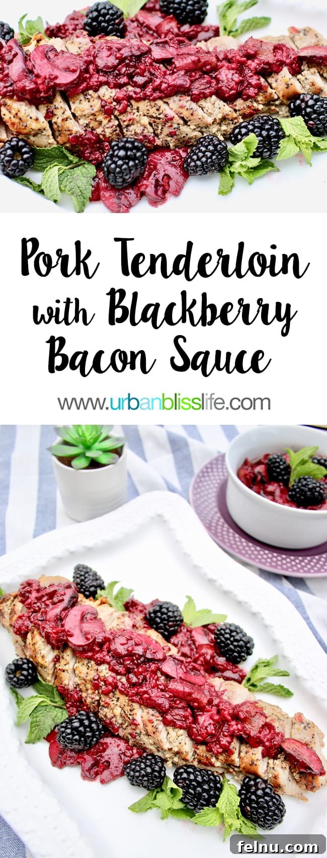 Blackberry Glazed Pork Tenderloin 2 Pork Tenderloin with Blackberry Bacon Sauce recipe on UrbanBlissLife.com