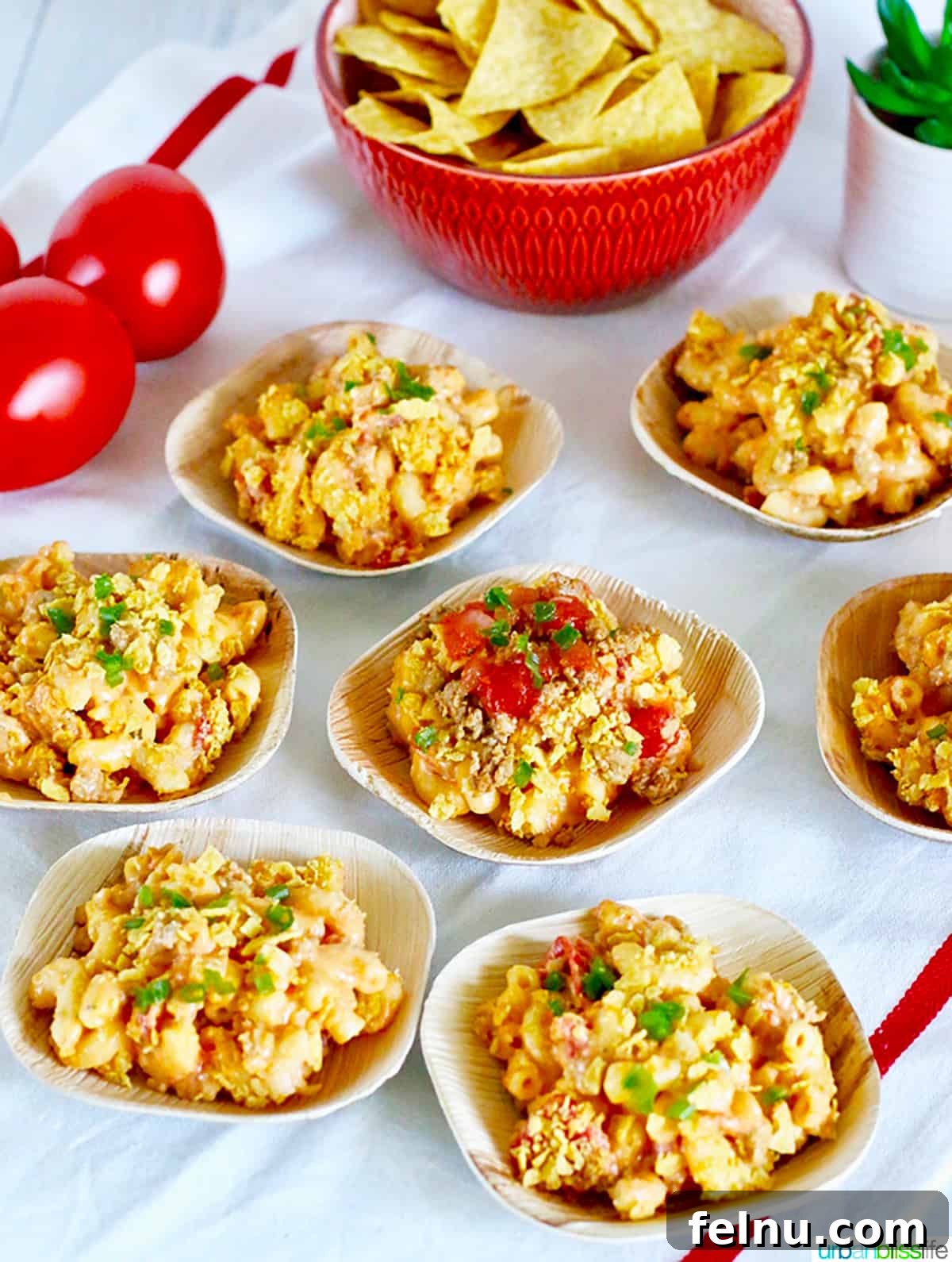 Effortless Fiesta Mac 10 Individual Servings of Taco Mac and Cheese