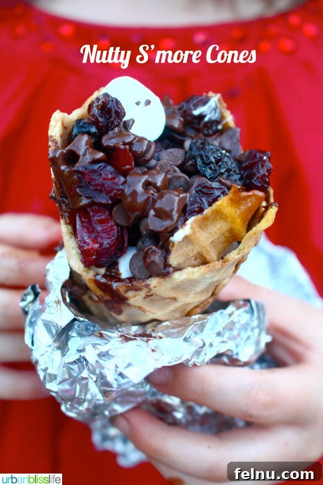 Pillowy Homemade Sweet Mallows 9 Nutty S'More Cones Sante Nuts