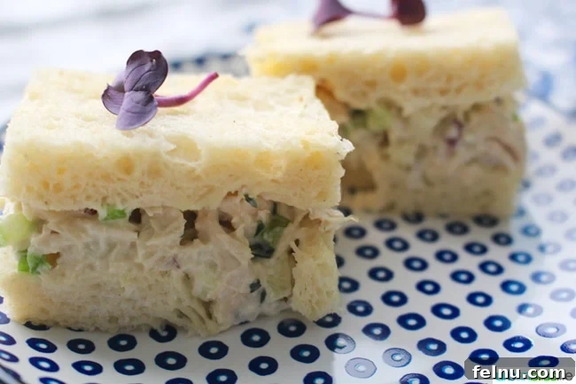 Creamy Tomato Flatbread Pizza Delight 6 Classic Chicken Salad Sandwiches, a timeless recipe perfect for picnics, brunches, and light lunches.