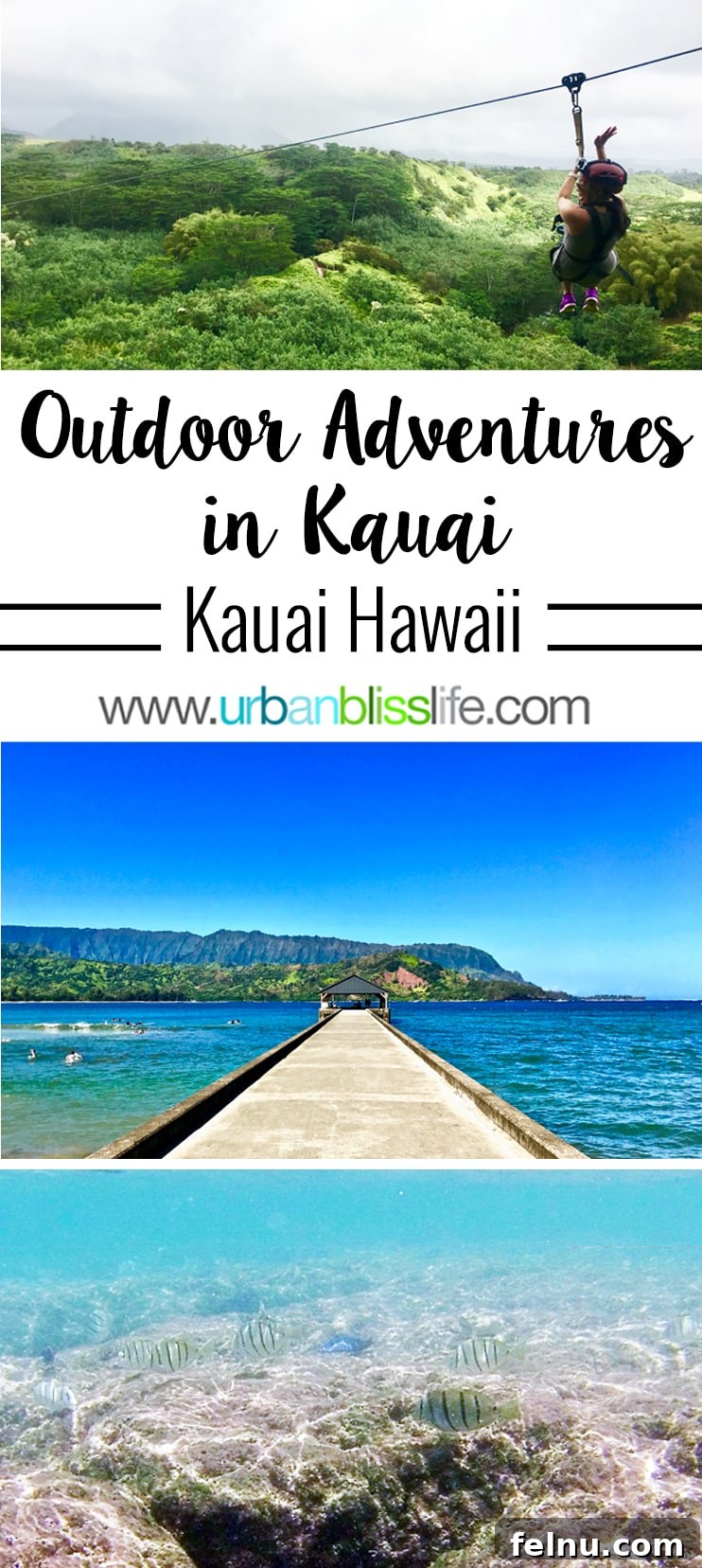 Dive Soar Paddle Kauai's Ultimate Adventure 2 Kauai Outdoor Adventures - kayaking, snorkeling, and ziplining thrills on the Garden Isle