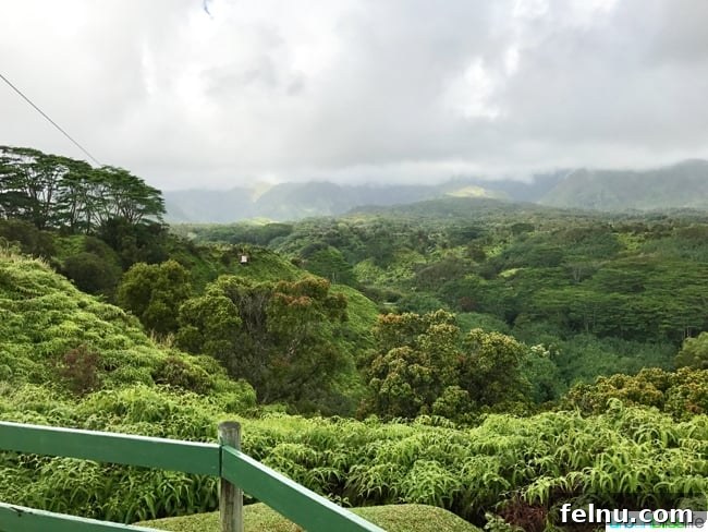Dive Soar Paddle Kauai's Ultimate Adventure 13 Ziplining in Kauai Hawaii - enjoying the breathtaking mountain scenery