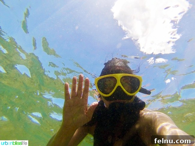Dive Soar Paddle Kauai's Ultimate Adventure 17 Snorkeling in Hanalei Bay Kauai Hawaii - underwater selfie with vibrant fish