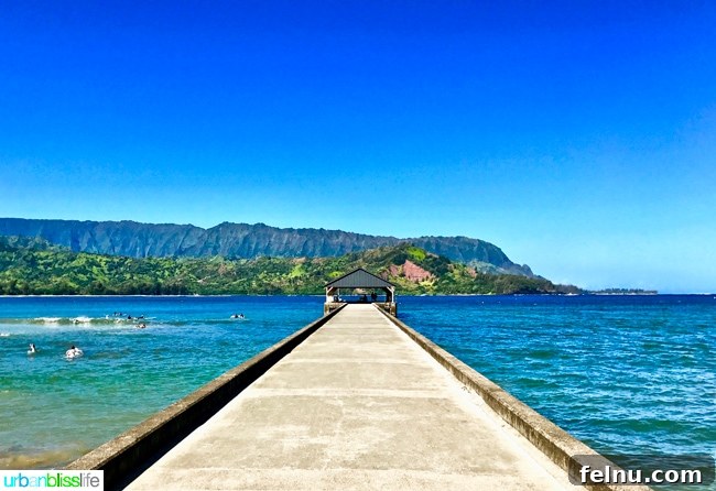 Dive Soar Paddle Kauai's Ultimate Adventure 3 Hanalei Bay Kauai Hawaii adventures - scenic pier views and coastal beauty