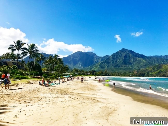 Dive Soar Paddle Kauai's Ultimate Adventure 4 Hanalei Bay Kauai Hawaii beach scene - perfect for relaxation and scenic views