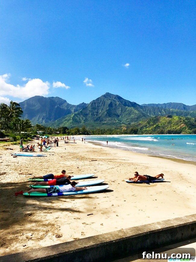 Dive Soar Paddle Kauai's Ultimate Adventure 5 Surf Lessons Hanalei Bay Kauai Hawaii - learn to surf in paradise