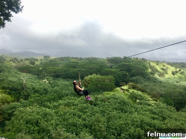 Dive Soar Paddle Kauai's Ultimate Adventure 10 Ziplining in Kauai Hawaii - personal experience, embracing the thrill